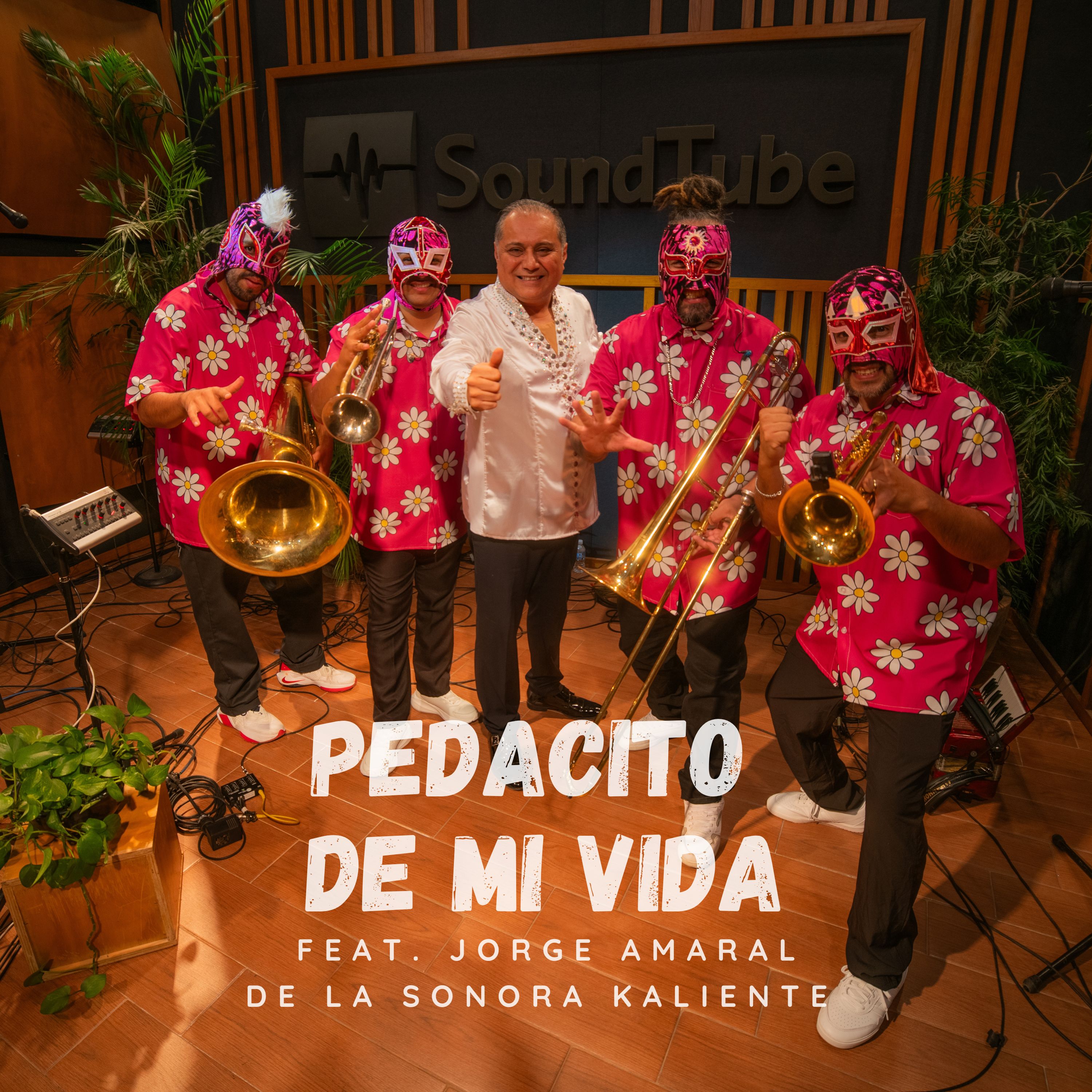 Portada del Álbum - Pedacito De Mi Vida
